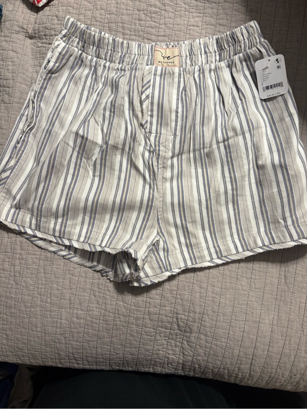 Free People Striped Elastic-Waist Shorts in Blue and White
